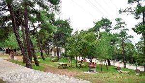 Çan Belediyesi Mesire Alanı Tamamlandı.! 6 c5