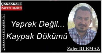 ”Yolundan Sapan Pusulasızlar…” ”Yolundan Sapan Pusulasızlar…”