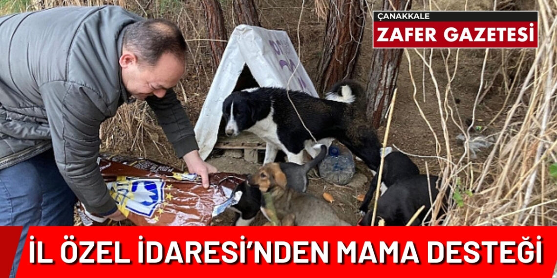 İl Özel İdaresi’nden Patili Dostlara Mama Desteği