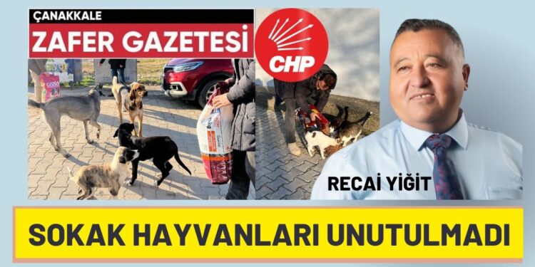 GOKCEADADA NELER OLUYOR. 3