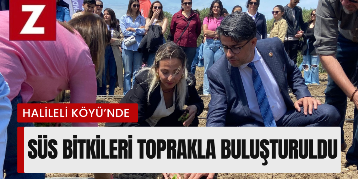 İhracata Yönelik Süs Bitkileri Dikim Etkinliği Gerçekleşti.