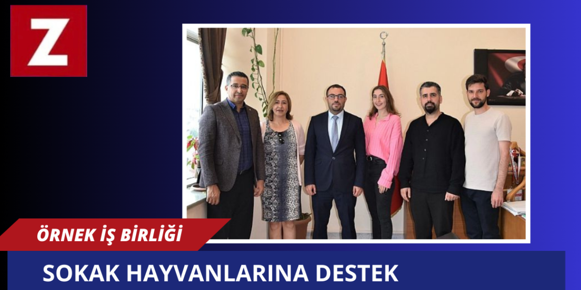 Hastane Ve Mor Pati Derneğinden Hayvanların Beslenmesine Yönelik Örnek İş Birliği