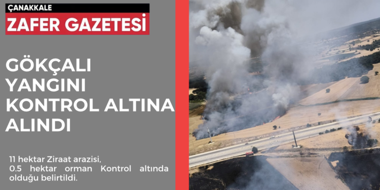 Çanakkale Gökçalı Köyünde Yangın 1 5C3F9607 B9A7 487A 96EB C061FE12BA1A