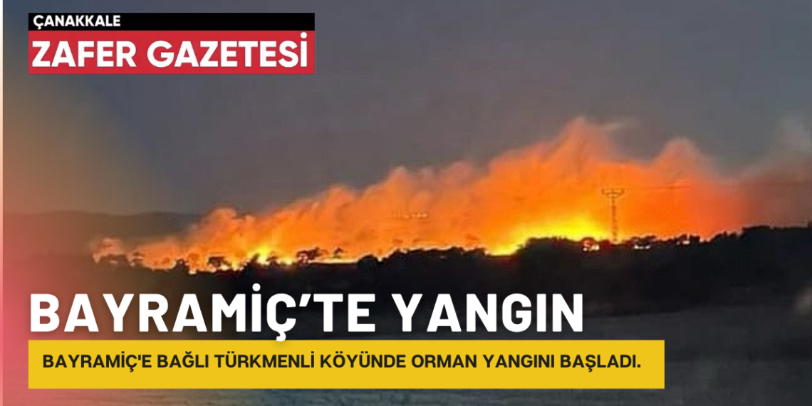 Bayramiç İlçesinde Yangın Başladı