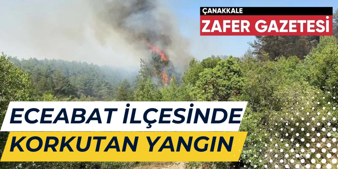 Eceabat İlçesinde Çıkan Yangın 8 Saat Sonra Kontrol Altına Alınabildi.