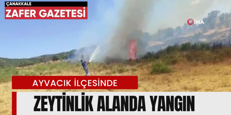AYVACIK ILCESINDE YANGIN