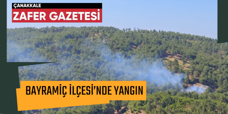 Bayramiç Alakeçili Köyü Ormanlık Alanda Yangın Çıktı 1 Yanginla savasmak icin fona ihtiyac var