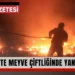 Bayramiç’te Meyve Çiftliğinde Yangın