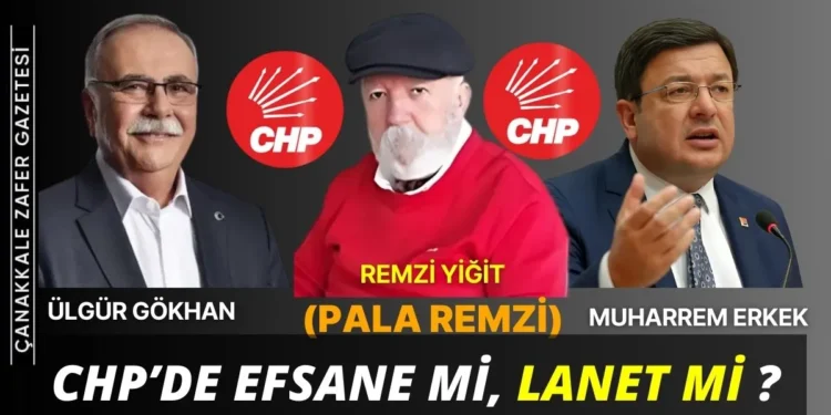 remzi pala