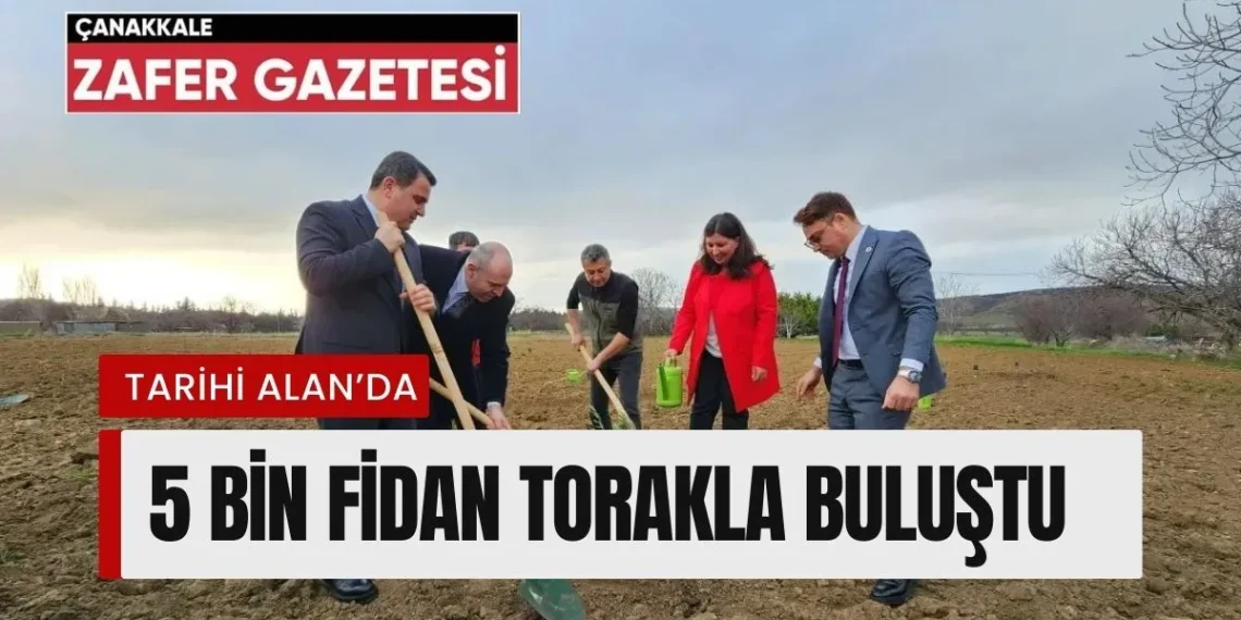 Tarihi Alan Bölgesinde 5 bin adet zeytin fidanı toprakla buluşturuldu.