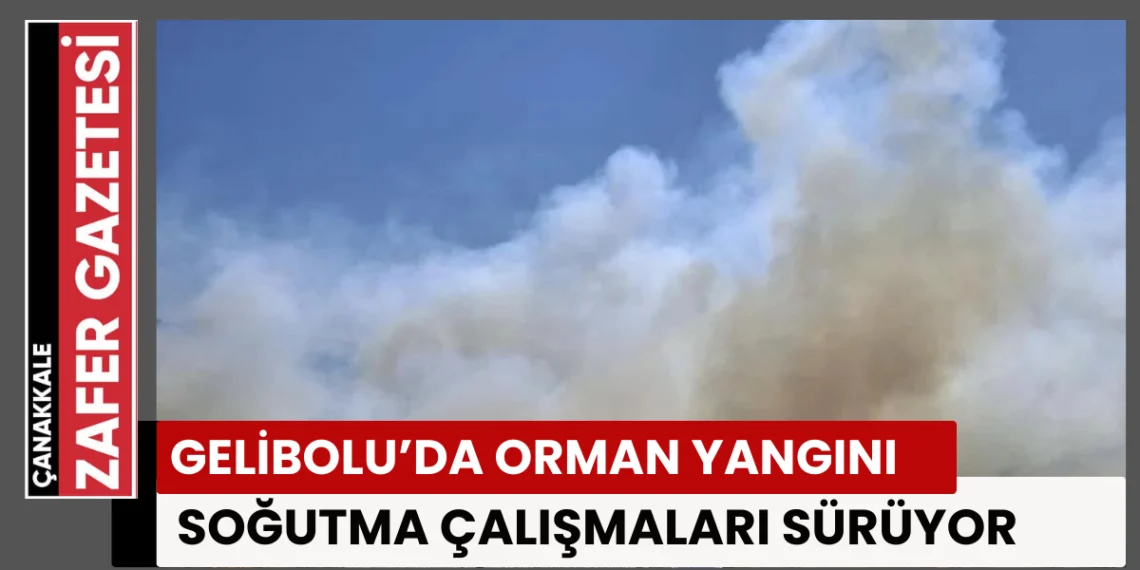 Gelibolu Tayfur Köyü’nde Çıkan Orman Yangını Kontrol Altına Alındı