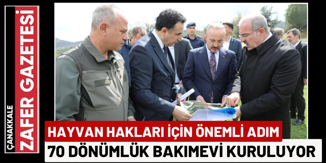 Sokak Hayvanları İçin Çanakkale’de Örnek Proje Başlatıldı