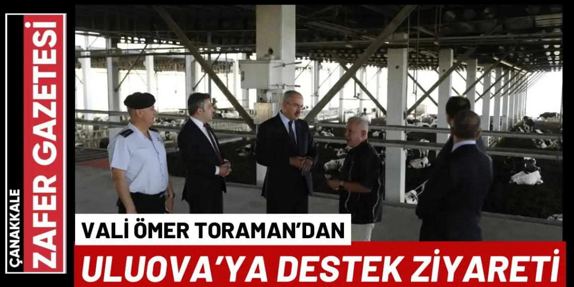 Hayvancılıkta Kaliteli Üretime Destek: Vali Toraman Sahada