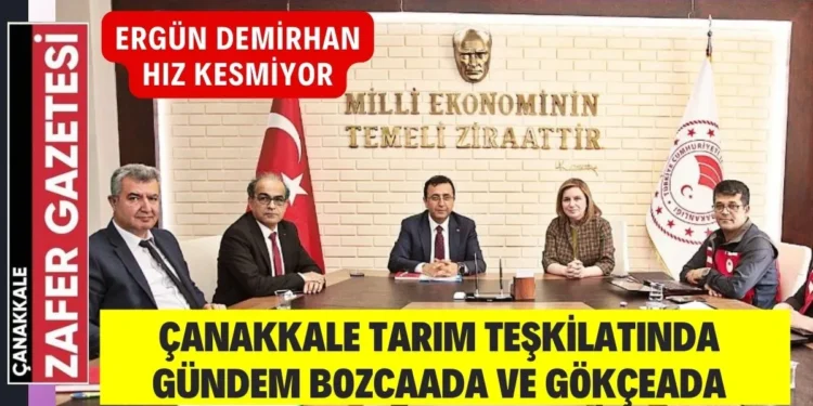 ergun demirhan tarim