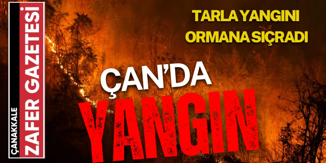 Çan’da Tarla Yangını Ormana Sıçradı