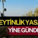 Zeytinlik Yasası Yine Meclis Gündeminde