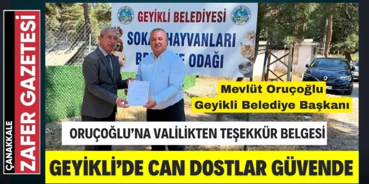 geyikli