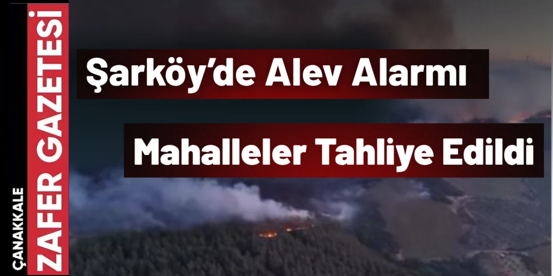 Tekirdağ’daki Orman Yangını Gelibolu’ya Sıçradı: Mahalleler Boşaltıldı, Tarihi Yapılar Tehdit Altında