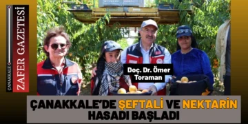 Çanakkale’de Şeftali ve Nektarin Hasadı Başladı: Vali Toraman Üreticilerle Buluştu