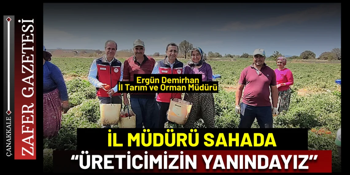 Tarlada Destek Ziyareti: İl Müdürü Domates Hasadında