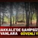 Valilikten Sokak Hayvanları Açıklaması: Çalışmalar Sürüyor 9 Valilikten Sokak Hayvanları Açıklaması: Çalışmalar Sürüyor