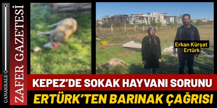 Kepez’de Sokak Hayvanları Sorunu Gündemde 1 IMG 4807