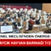 İl Genel Meclisi’nden Önerge: Saraycık Hayvan Barınağı 7/24 Canlı Takip Edilecek 9 İl Genel Meclisi’nden Önerge: Saraycık Hayvan Barınağı 7/24 Canlı Takip Edilecek